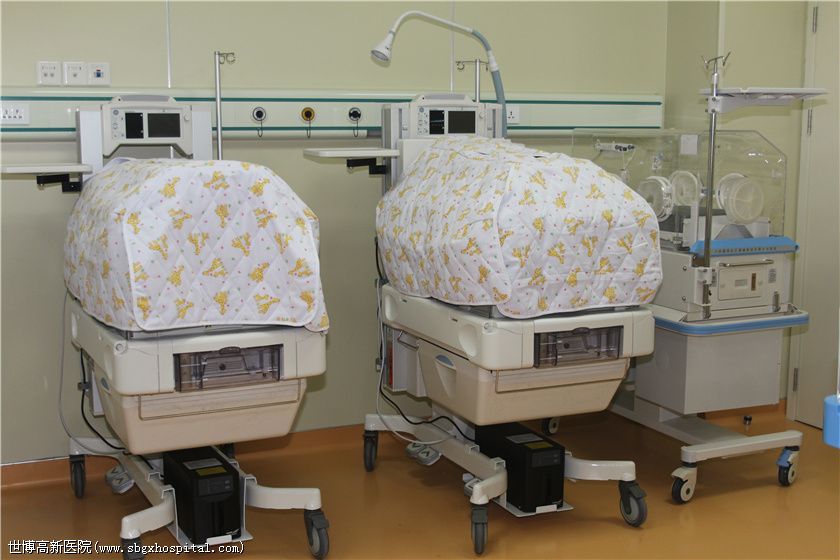 -�߶˱�����